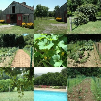 chevelo farm collage small